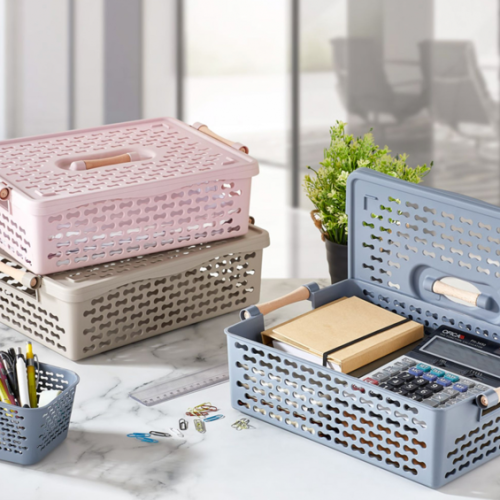 ORGANISER BASKET 6 LT مع غطاء